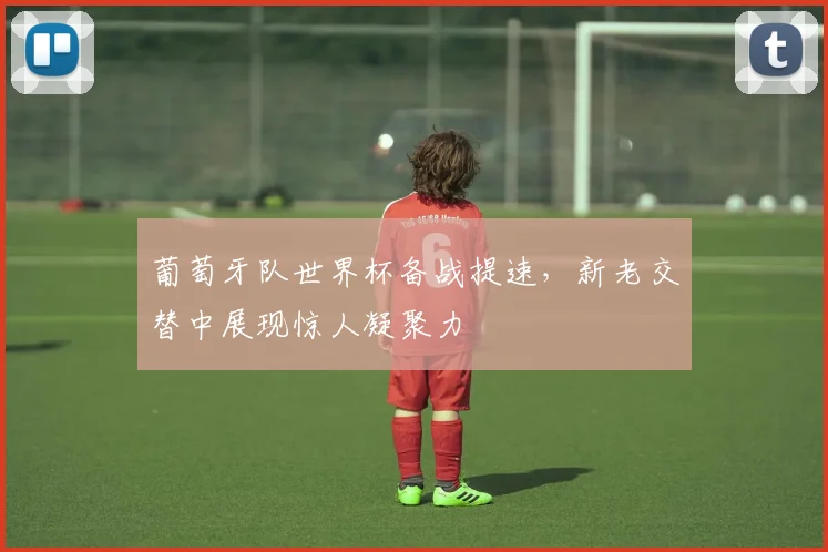 葡萄牙队世界杯备战提速，新老交替中展现惊人凝聚力
