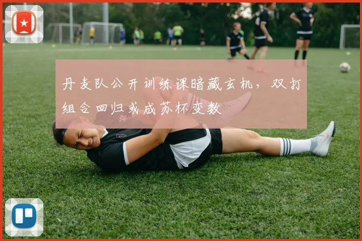 丹麦队公开训练课暗藏玄机，双打组合回归或成苏杯变数