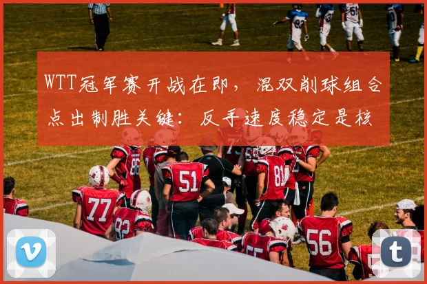 WTT冠军赛开战在即，混双削球组合点出制胜关键：反手速度稳定是核心